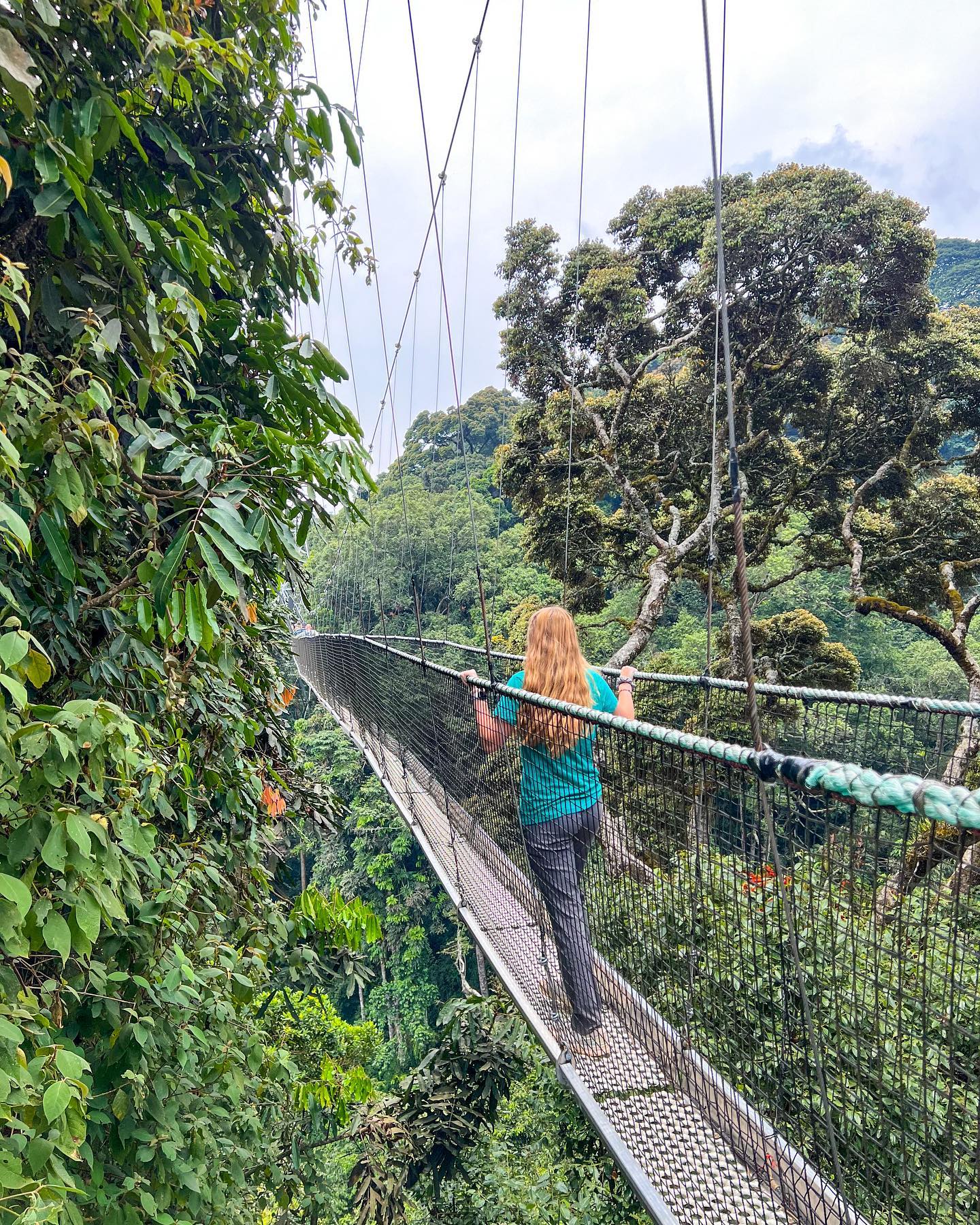 Nyungwe Forest